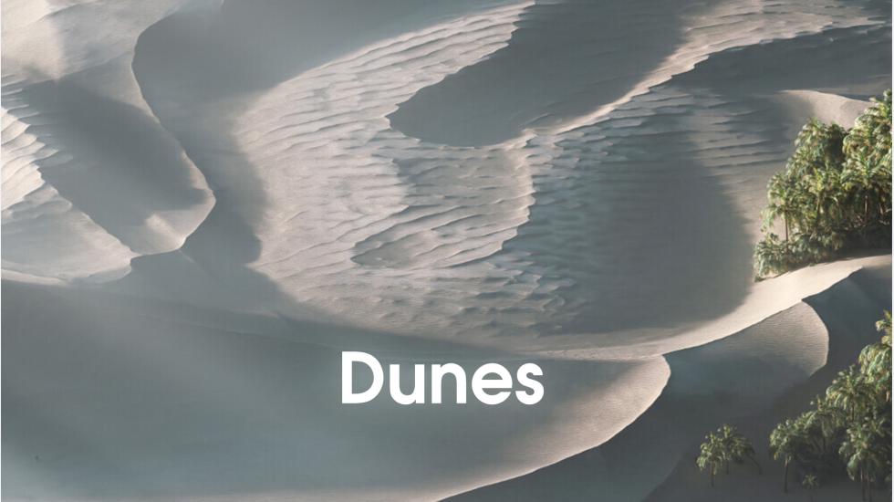 Dunes