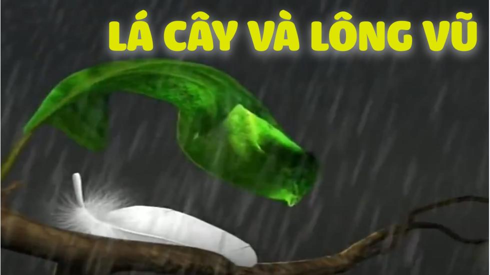 Lá Cây Và Lông Vũ | Phim Hoạt Hình Việt Nam