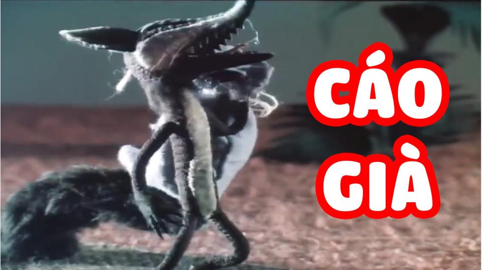 Cáo Già | Phim Hoạt Hình Việt Nam Hay Nhất 2020
