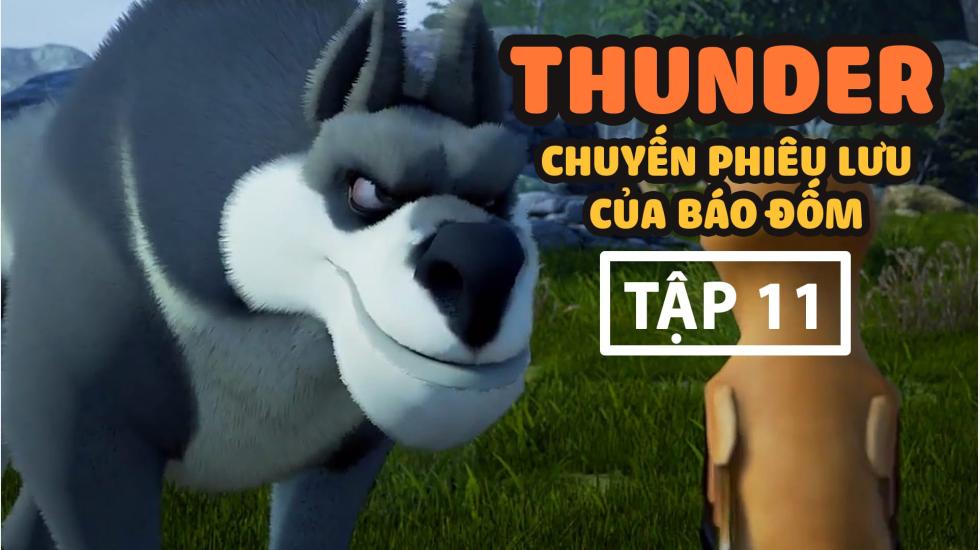 Thunder Tập 11 - Chuyến Phưu Lưu Của Báo Đốm - Phim Hoạt Hình Hàn Quốc Thuyết Minh Hay Nhất 2020