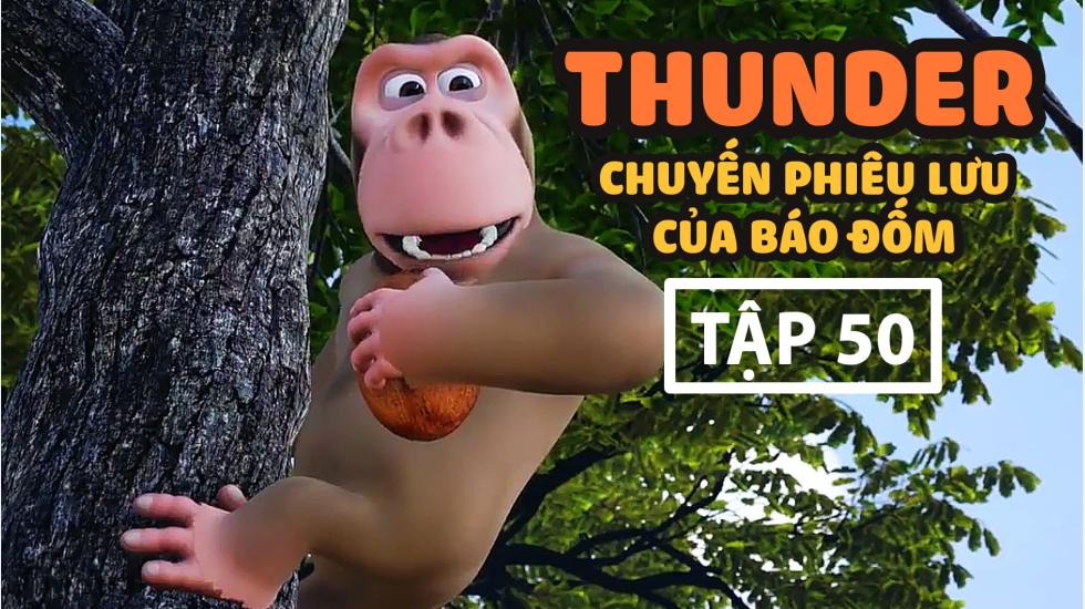 Thunder Tập 50 - Chuyến Phưu Lưu Của Báo Đốm - Phim Hoạt Hình Hàn Quốc Thuyết Minh Hay Nhất 2020