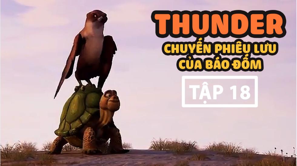 Thunder Tập 18 - Chuyến Phưu Lưu Của Báo Đốm - Phim Hoạt Hình Hàn Quốc Thuyết Minh Hay Nhất 2020